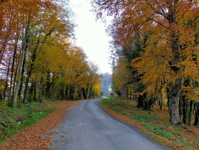 Ordu’da Kartpostallık Kareler