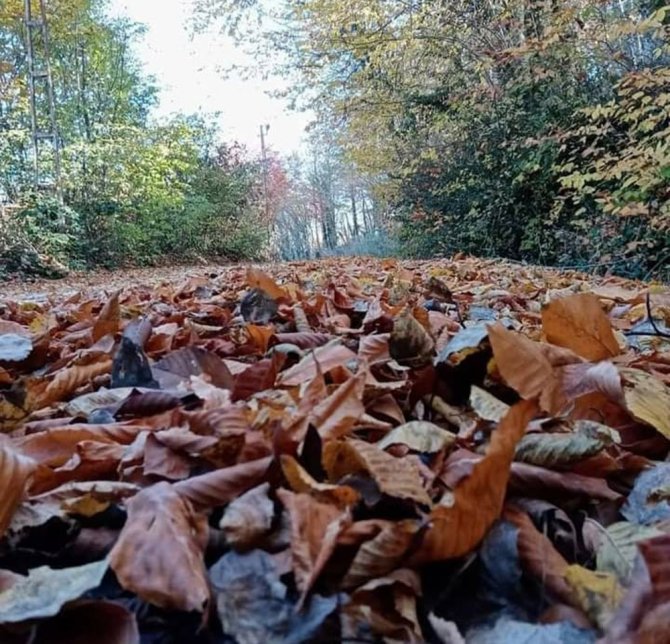 Ordu’da Kartpostallık Kareler