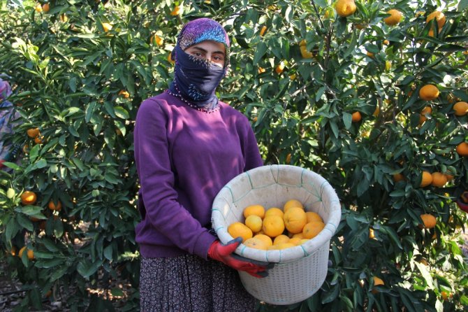Dalında 1,5 Markette 8 Lira