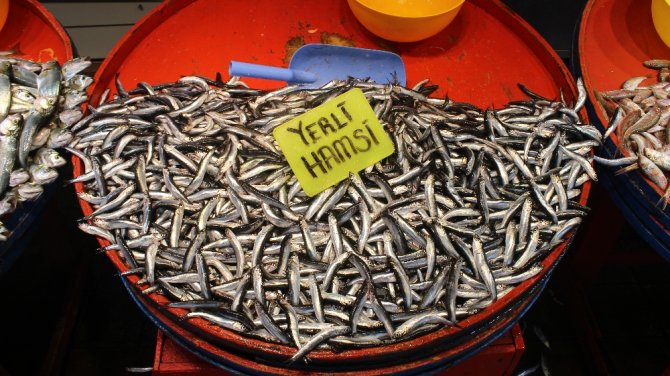 Balık Tezgahlarında Hafta İçi Bereketi