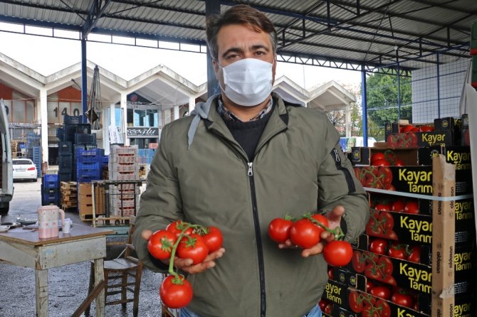 Domates İhracatı Yasağı Yeniden Gözden Geçirilsin