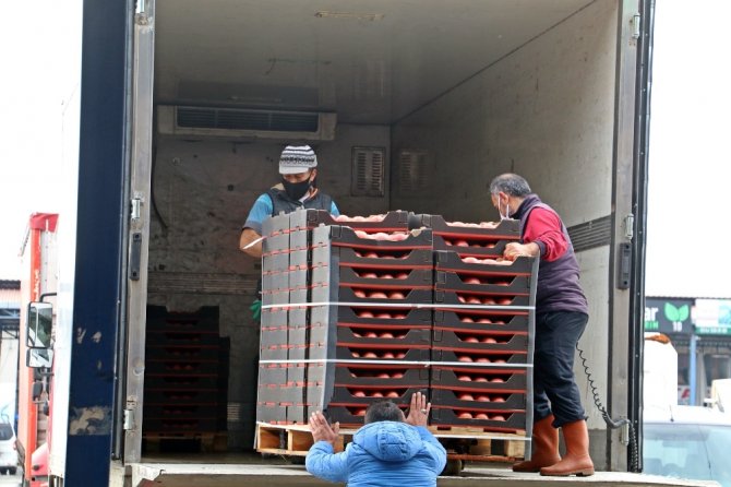 Domates İhracatı Yasağı Yeniden Gözden Geçirilsin