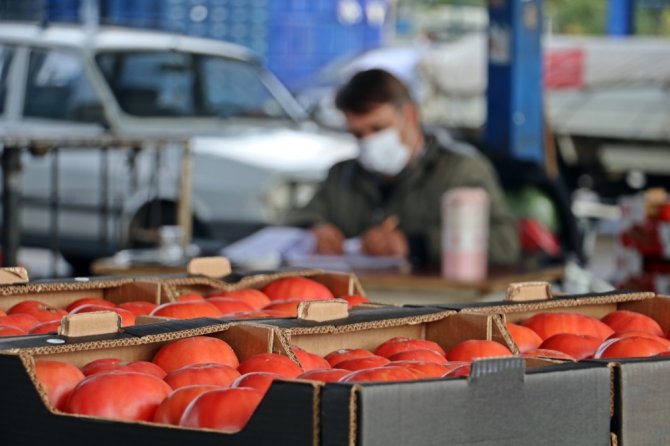 Domates İhracatı Yasağı Yeniden Gözden Geçirilsin