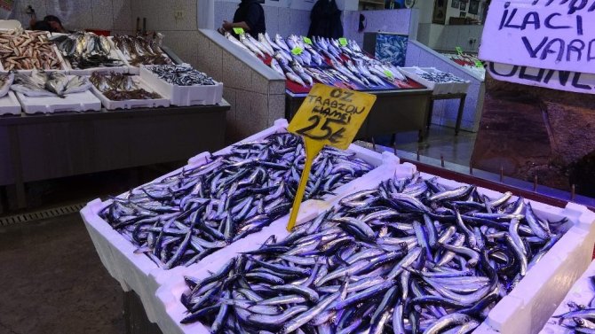 Hamsi Fiyatıyla Şaşırtmaya Devam Ediyor