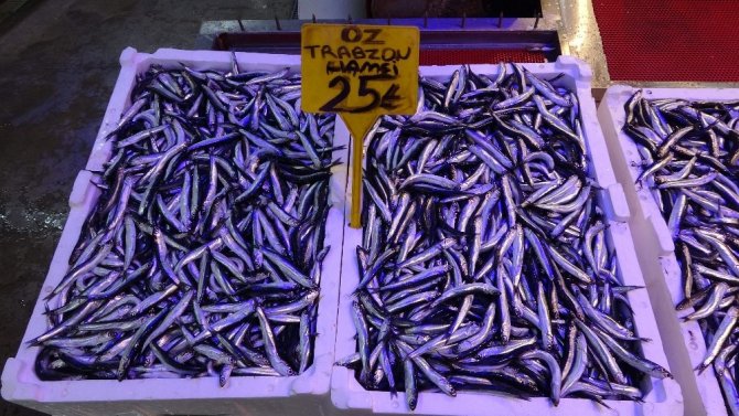 Hamsi Fiyatıyla Şaşırtmaya Devam Ediyor