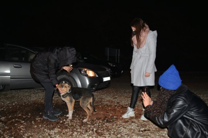 Ormana Terk Edilen Sokak Köpeklerini Beslemek İçin Kilometrelerce Yol Gidiyorlar