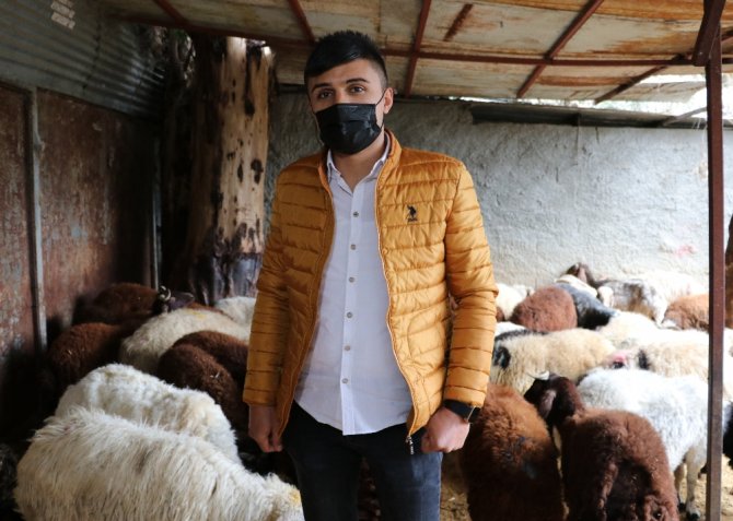 Korona Virüsü Atlatanlar Adaklık Koyun Kestiriyor