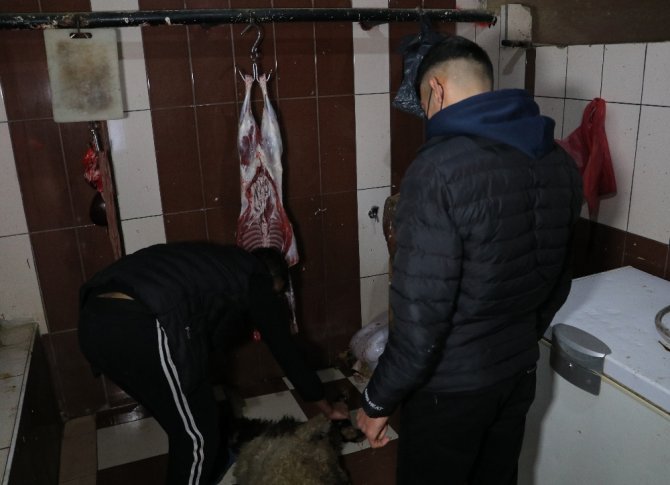 Korona Virüsü Atlatanlar Adaklık Koyun Kestiriyor