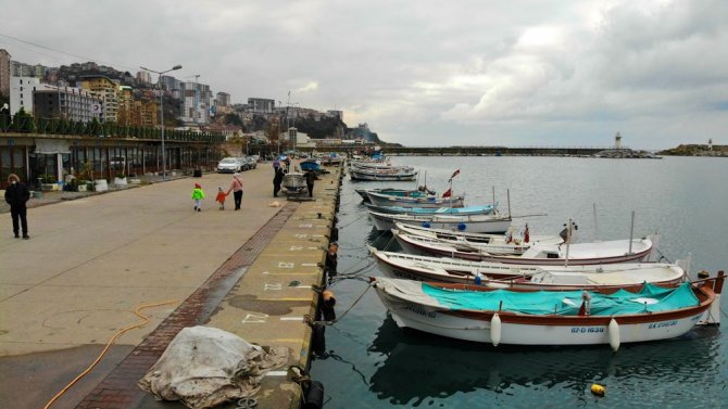 Hamside Tehlikeye Dikkat Çekip Böyle Uyardı; "Karadeniz Nadasa Bırakılmalı"