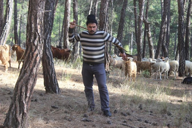 65 Yıllık Hayatının Tamamını Ormanda Çadırda Yaşayarak Geçirdi