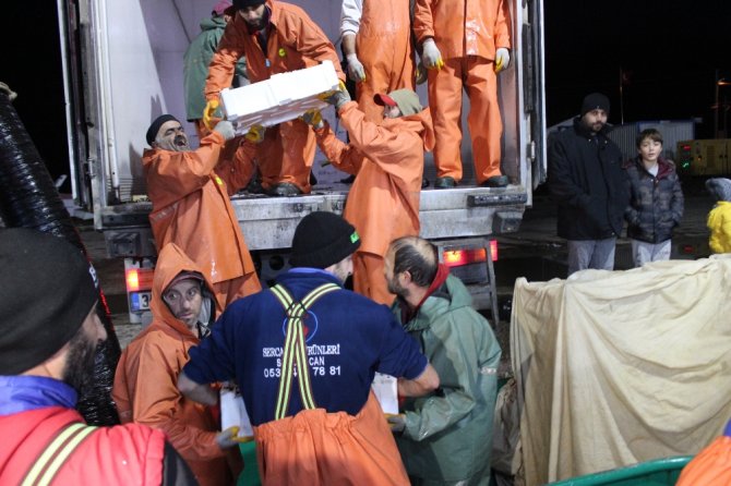 Limana Yüzlerce Kasa Hamsiyle Döndüler: Kilosu 8 Liraya İndi