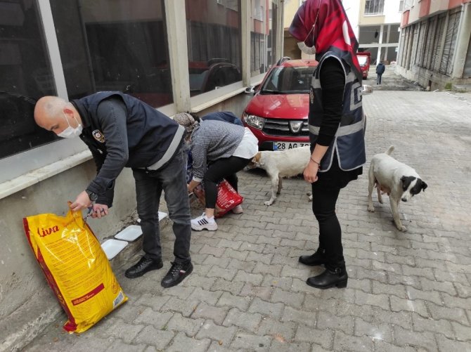 Giresun’da Sokak Hayvanları Sahipsiz Kalmadı