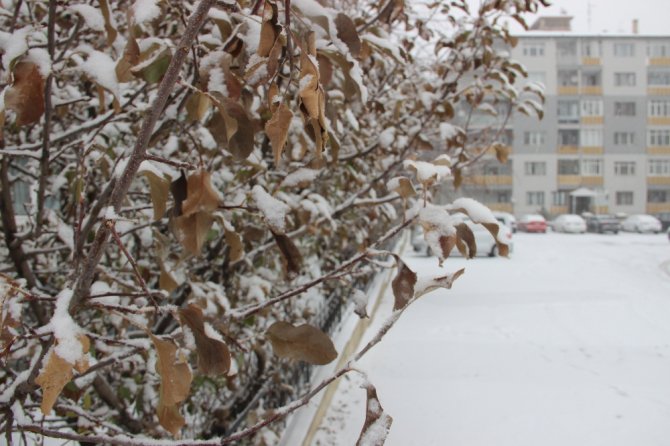 Erzurum’da Etkili Olan Kar Yağışı Kenti Beyaza Bürüdü