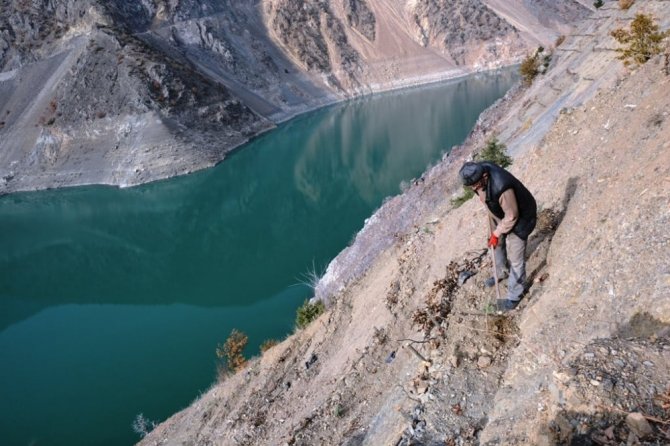 Artvin’de Baraj Havzaları Ağaçlandırılıyor