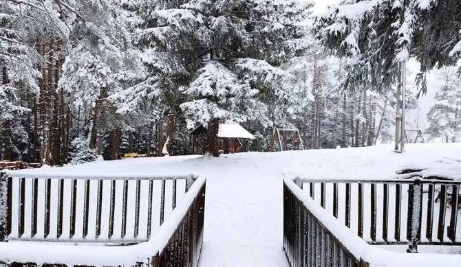Artvin’de Kar Yağışı Nedeniyle 29 Köy Yolu Ulaşıma Kapandı