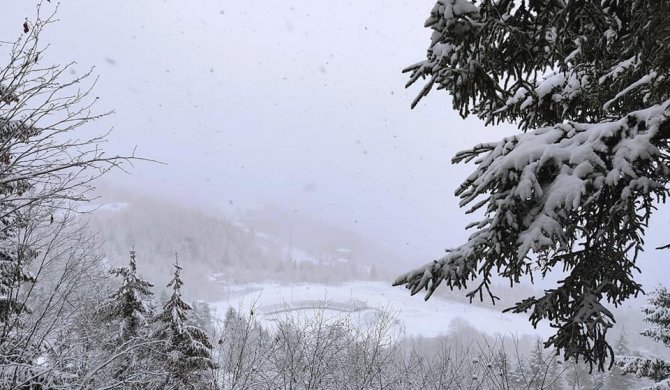 Artvin’de Kar Yağışı Nedeniyle 29 Köy Yolu Ulaşıma Kapandı