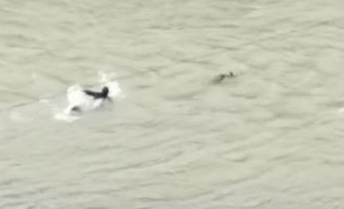 Karacayı Kurtarmak İçin Gözünü Kırpmadan Çoruh Nehri’ne Atladı