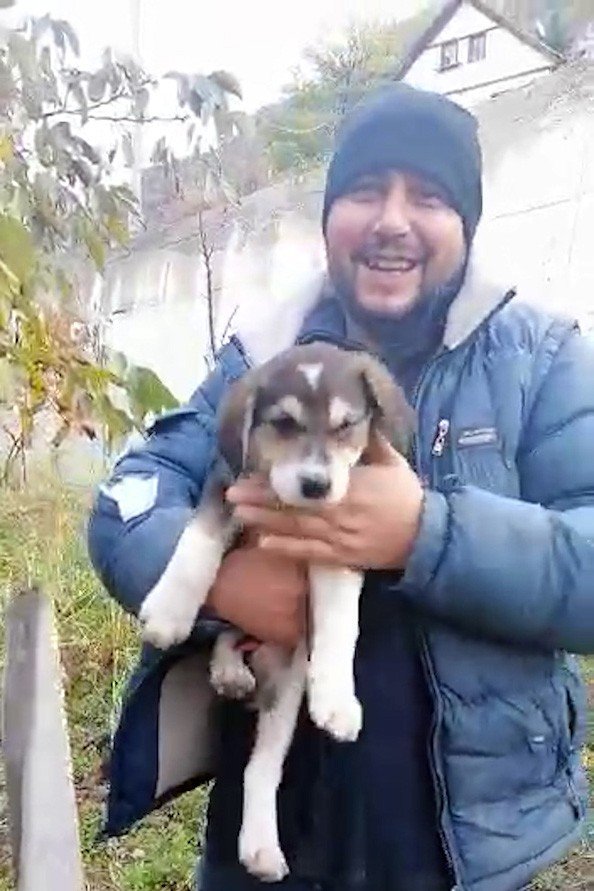 Tellerin Arasına Sıkışan Yavru Köpeği Böyle Kurtardı