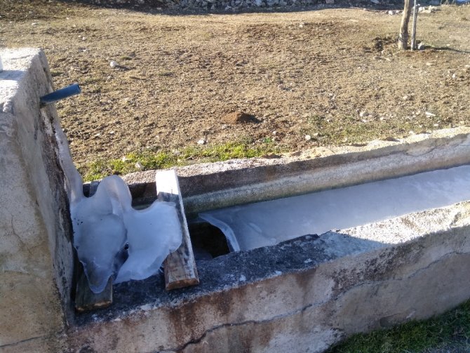 Soğuk Hava Çeşmeleri Ve Yalakları Dondurdu