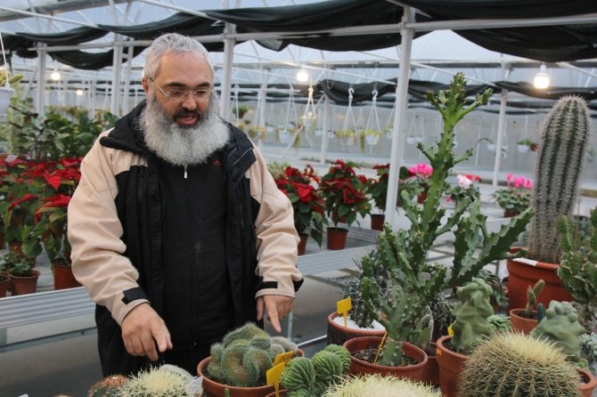 Yetiştirdiği Kaktüslere Pandemide Yoğun Talep Oldu, Şimdilerde Taleplere Yetişemiyor