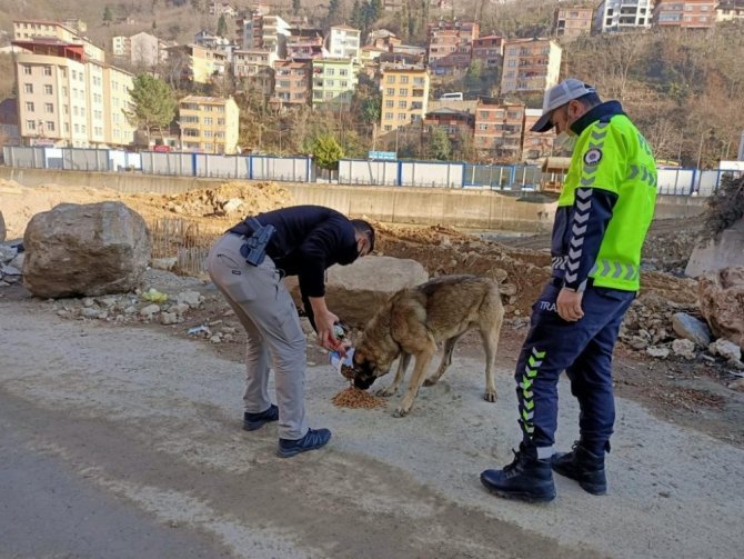 Sokak Hayvanlarına Polis Şefkati