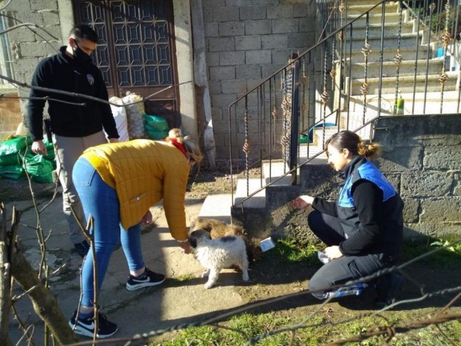 Sokak Hayvanlarına Polis Şefkati