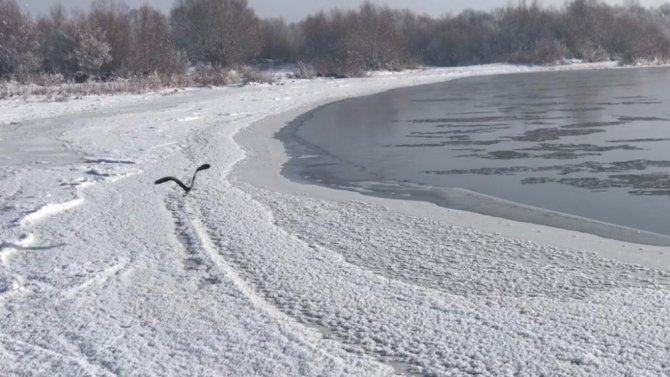 Soğuk Havada Kırağı Kartpostallık Görüntüler Oluşturdu