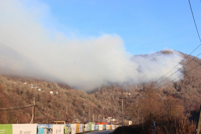 Rusya’da Yeni Yıl Kutlamalarında Atılan Havai Fişekler Orman Yangınına Neden Oldu