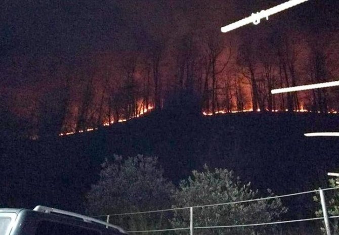 Rusya’da Yeni Yıl Kutlamalarında Atılan Havai Fişekler Orman Yangınına Neden Oldu