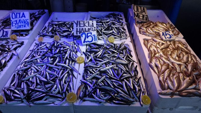 Hamsinin Peşinden Bu Kez Gürcistan’a Değil İğneada’ya Gittiler