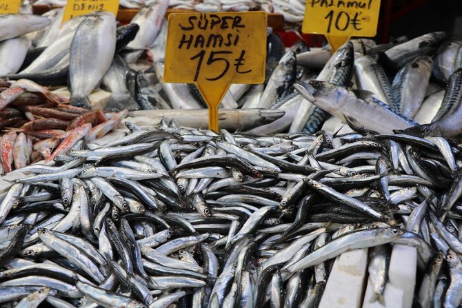 Hamsinin Fiyatı 25 Tl’den 15 Tl’ye Düştü