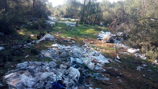 Ormanlık Alanı Çöplüğe Çevirdiler