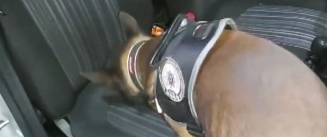 Trabzon’da 2021 Yılında Da Uyuşturucu İle Mücadele “Çatır Çutur Devam” Ediyor