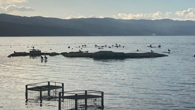 Kuraklık Bazilikayı Da Vurdu...ikinci Göbeklitepe Olacaktı, Kuşlara Yuva Oldu