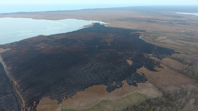 Samsun’da 4 Gün Süren Sazlık Yangını