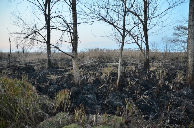 Samsun’da 4 Gün Süren Sazlık Yangını