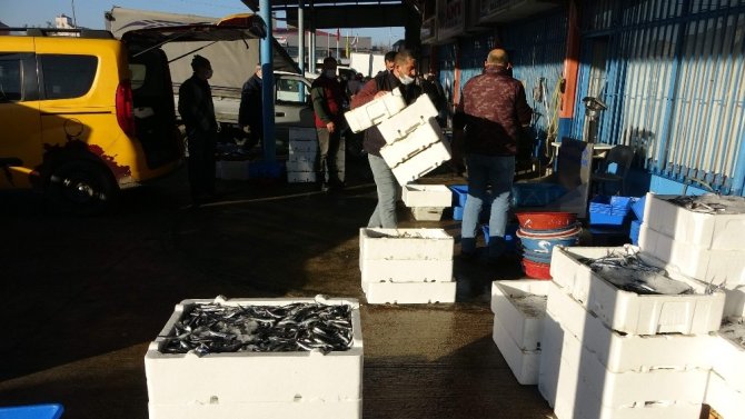 Trabzon Toptancı Balık Hali’ne Gelen Balık Miktarındaki Düşüş Devam Ediyor