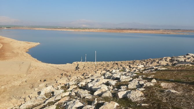 Kuraklığın Korkutucu Görüntüsü