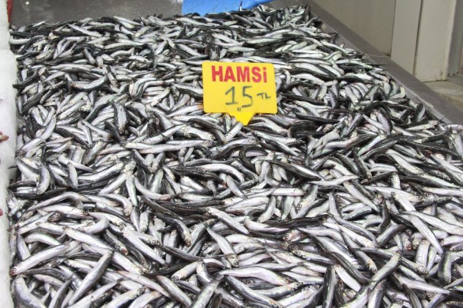 Hamsi Yasağına ’Buzhane’ Çözümü