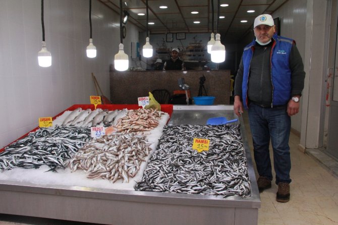 Hamsi Yasağına ’Buzhane’ Çözümü