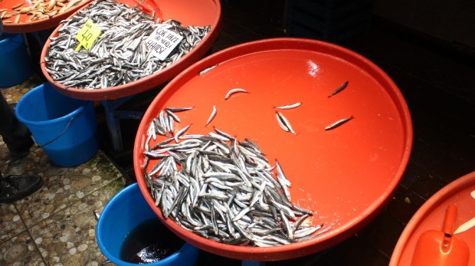 Hamsi Yasağı Gelince Vatandaşlar Balık Haline Akın Etti