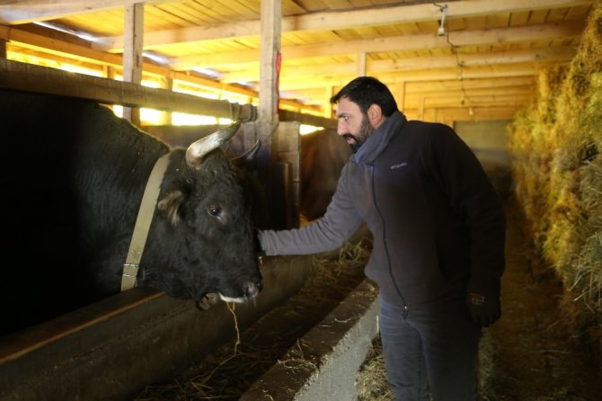 Artvin’de 200 Yıllık Gelenek Yok Olma Tehlikesiyle Karşı Karşıya