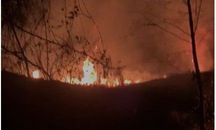 Artvin’in Kemalpaşa İlçesinde Yangın