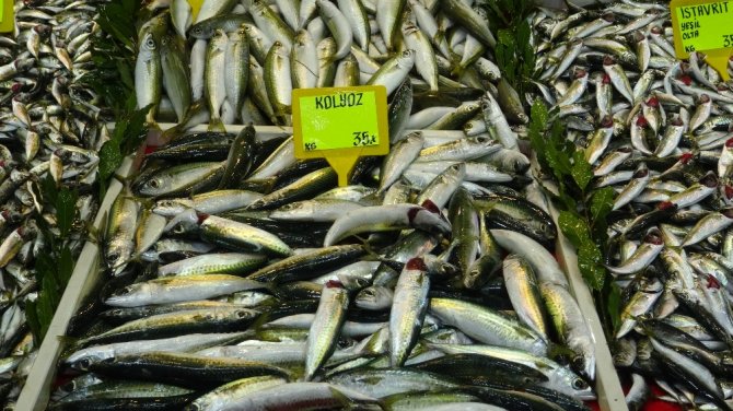 Çanakkale’de Hamsi Fiyatları 45 Lira Oldu