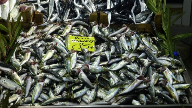 Çanakkale’de Hamsi Fiyatları 45 Lira Oldu