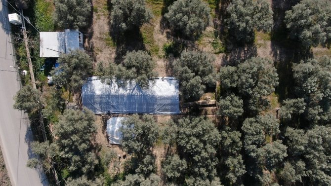 Lahit Tarlası İşte Böyle Korunuyor