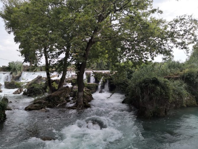 Balıklar Ölmesin Diye Hortumla Su Veriyor