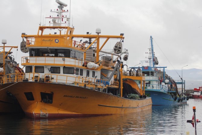 Sinoplu Balıkçılar Hamsi Ağından İstavrit Ağına Geçiyor