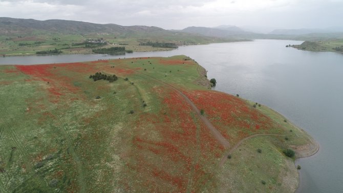 Baraj Ortasındaki Yarım Ada, Sahibi Tarafından Satılığa Çıkarıldı