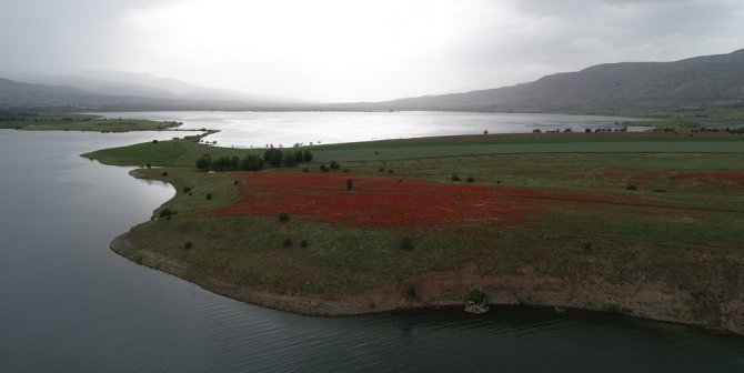 Baraj Ortasındaki Yarım Ada, Sahibi Tarafından Satılığa Çıkarıldı